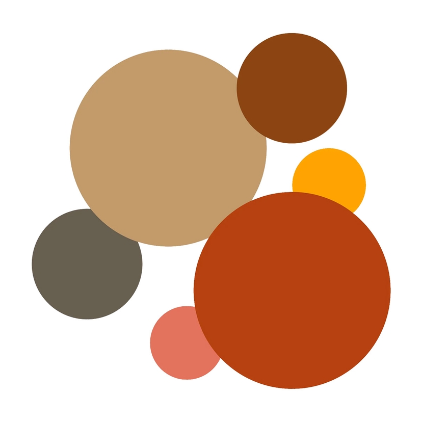 Omslagsbild för Färgguide: Sann Höst