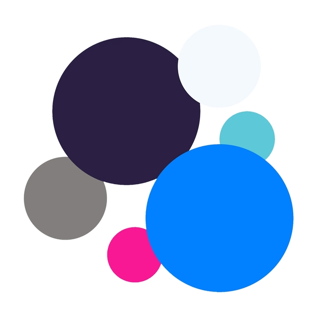 Omslagsbild för Färgguide: Klar Vinter