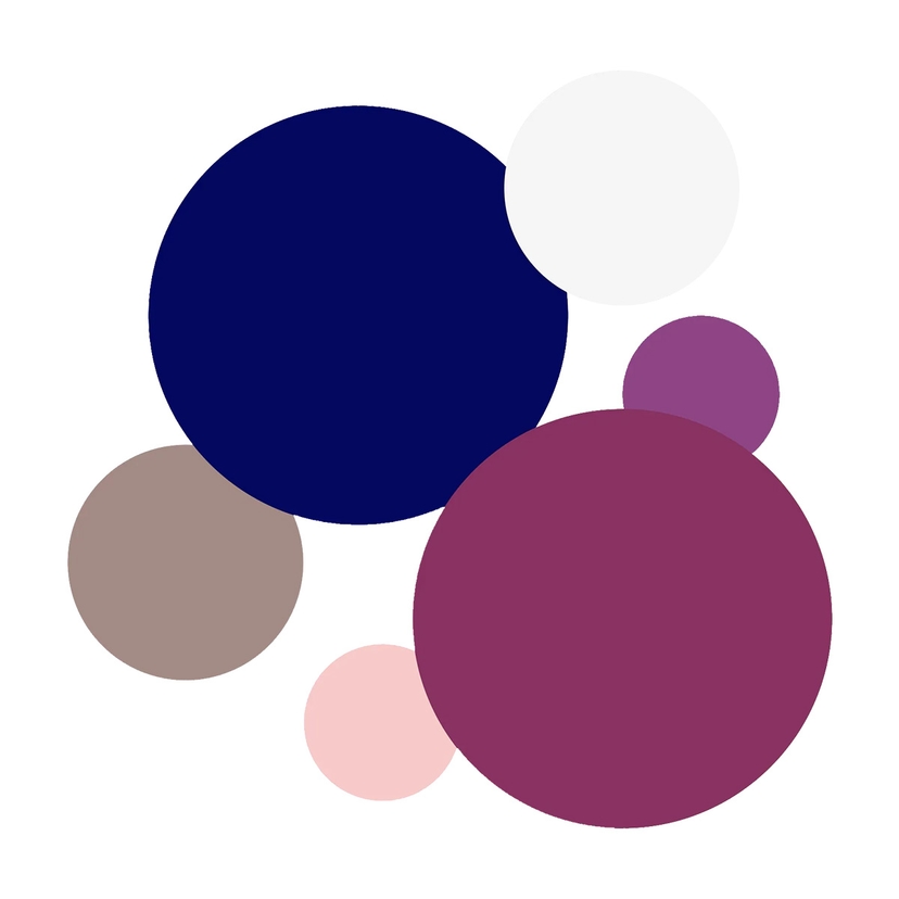 Omslagsbild för Färgguide: Djup Vinter