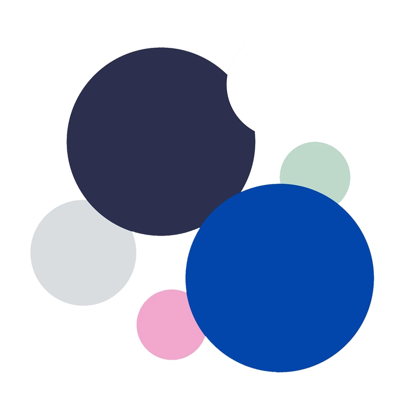 Omslagsbild för Färgguide: Sann Vinter