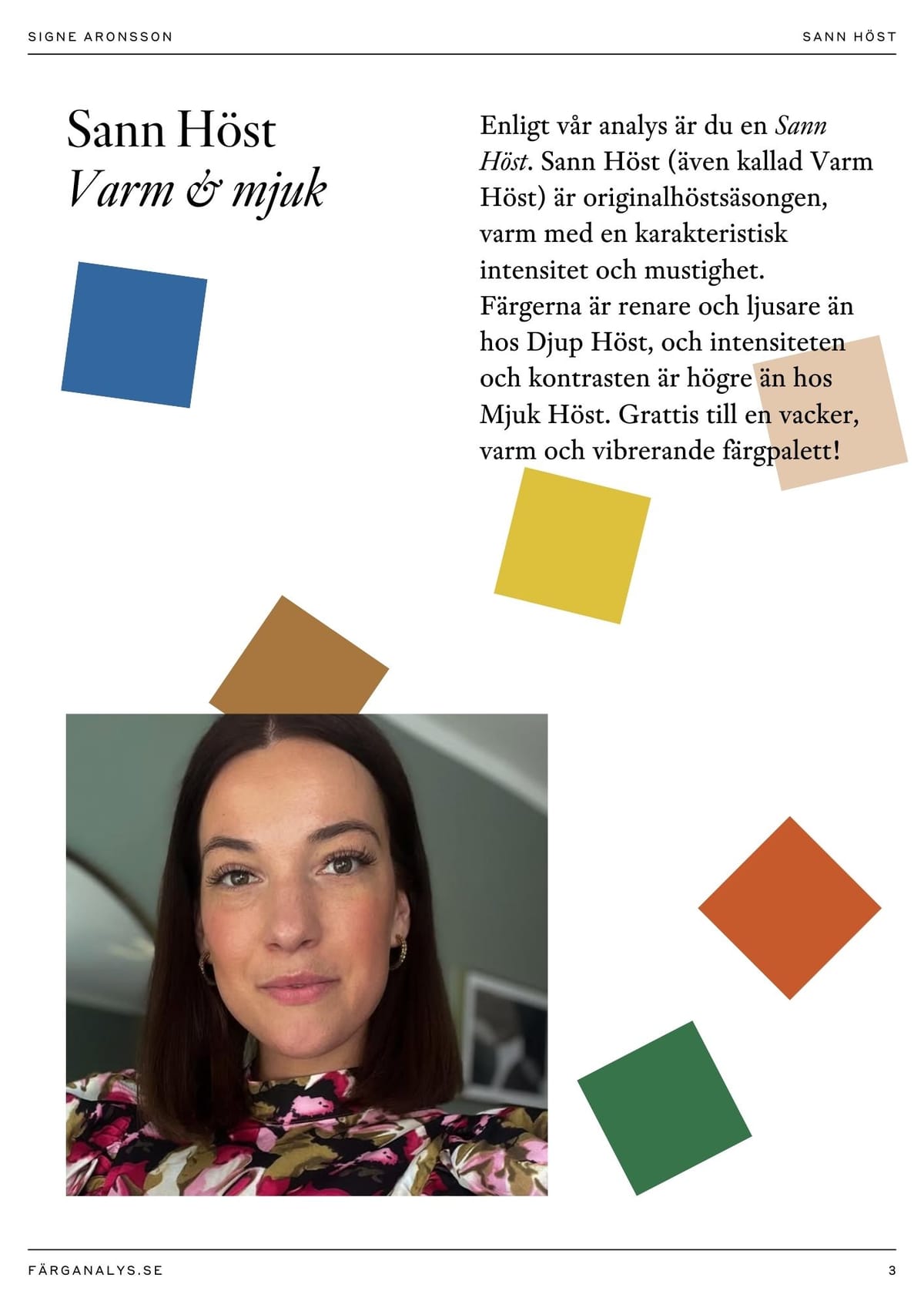 Exempelsida 2 från färganalysrapport: Färgdimensioner